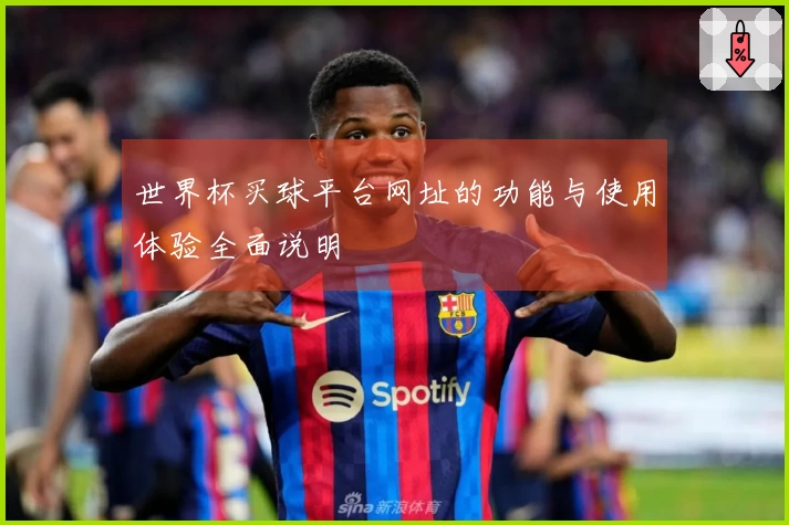 世界杯买球平台网址的功能与使用体验全面说明