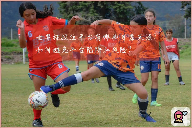 世界杯投注平台有哪些可靠来源？如何避免平台陷阱和风险？