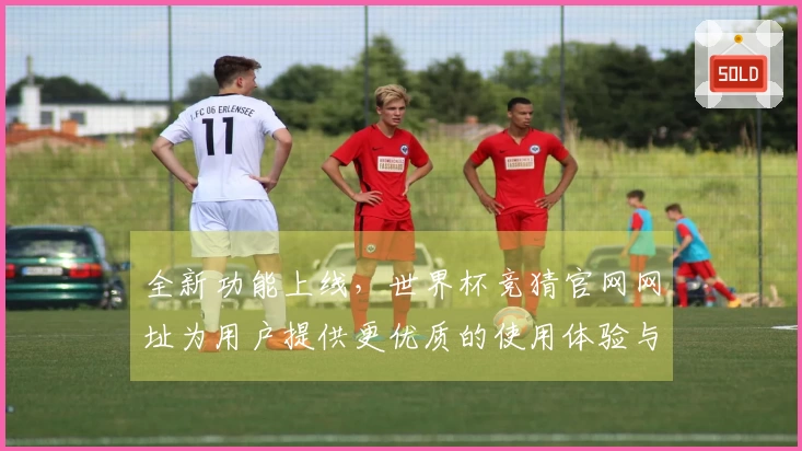 全新功能上线，世界杯竞猜官网网址为用户提供更优质的使用体验与便捷入口