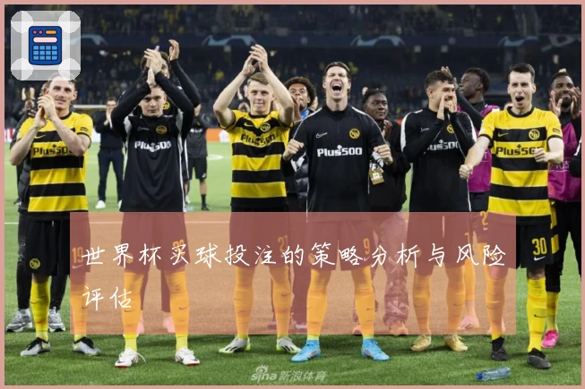 世界杯买球投注的策略分析与风险评估