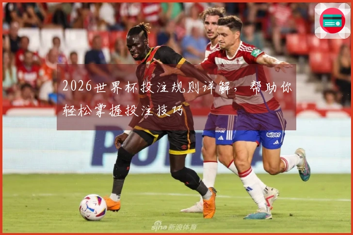 2026世界杯投注规则详解，帮助你轻松掌握投注技巧