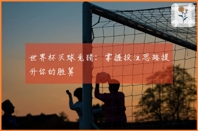 世界杯买球竞猜：掌握投注思路提升你的胜算