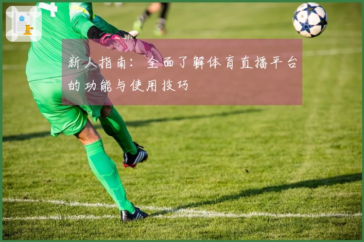 新人指南：全面了解体育直播平台的功能与使用技巧