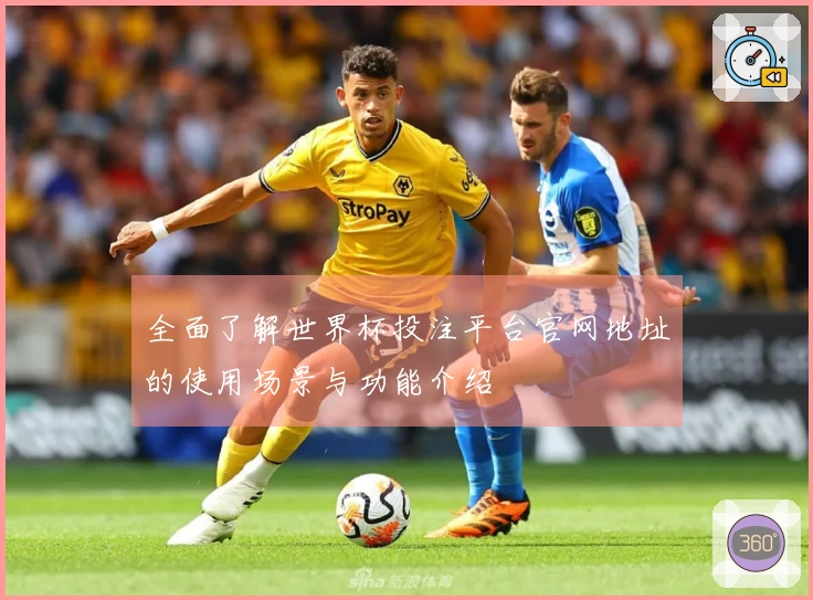 全面了解世界杯投注平台官网地址的使用场景与功能介绍