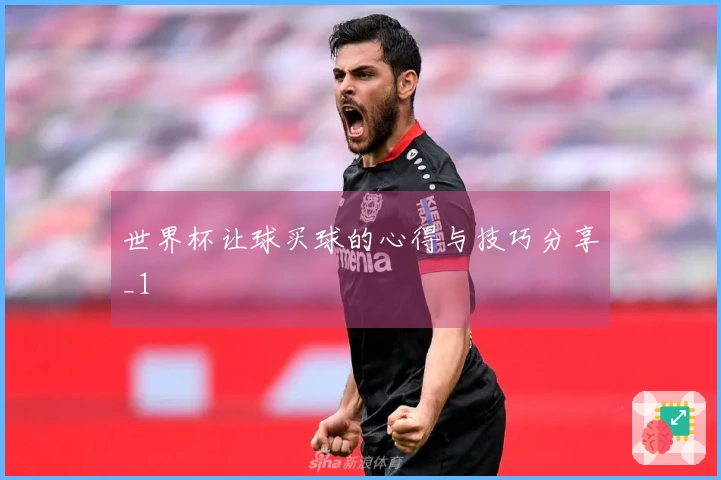 世界杯让球买球的心得与技巧分享_1