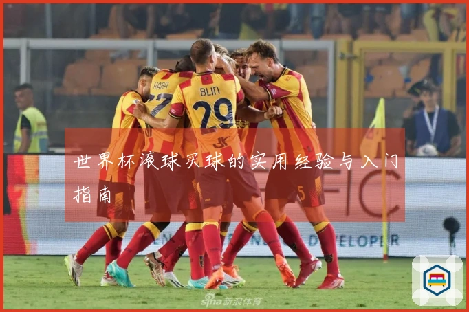 世界杯滚球买球的实用经验与入门指南