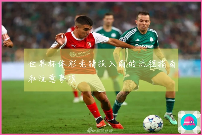 世界杯体彩竞猜投入前的流程指南和注意事项