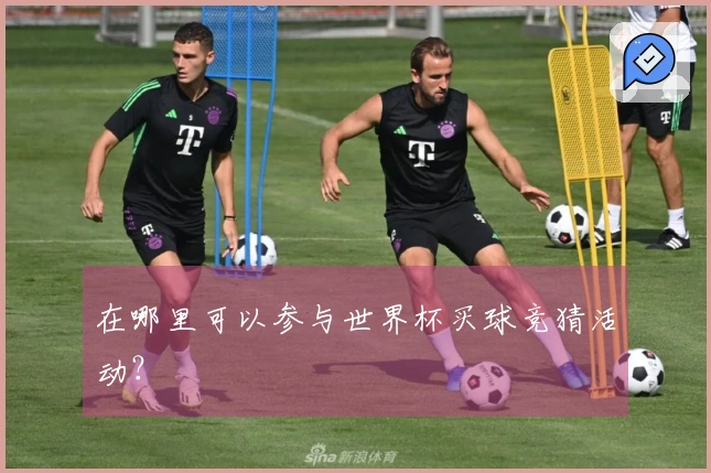 在哪里可以参与世界杯买球竞猜活动？