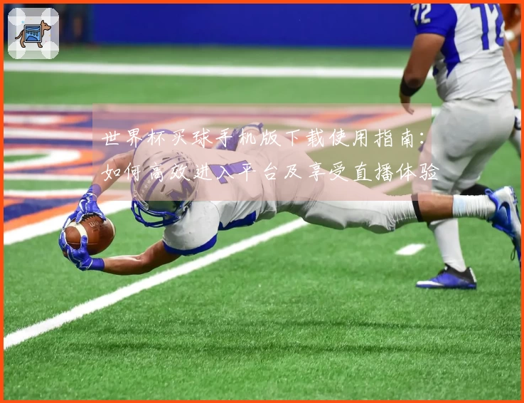 世界杯买球手机版下载使用指南：如何高效进入平台及享受直播体验