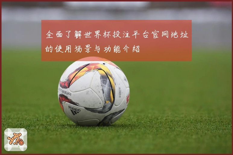 全面了解世界杯投注平台官网地址的使用场景与功能介绍
