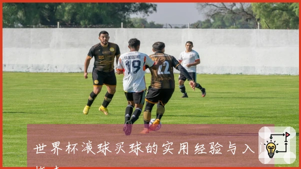 世界杯滚球买球的实用经验与入门指南