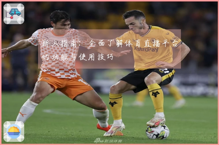新人指南：全面了解体育直播平台的功能与使用技巧