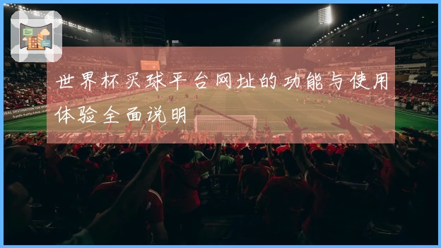 世界杯买球平台网址的功能与使用体验全面说明