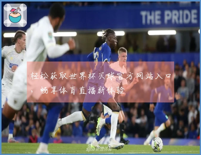 轻松获取世界杯买球官方网站入口，畅享体育直播新体验